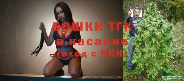 гашиш Богданович